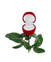 Load image into Gallery viewer, Time Roaming Red Rose Jewelry Box Case for Ring and Earring

