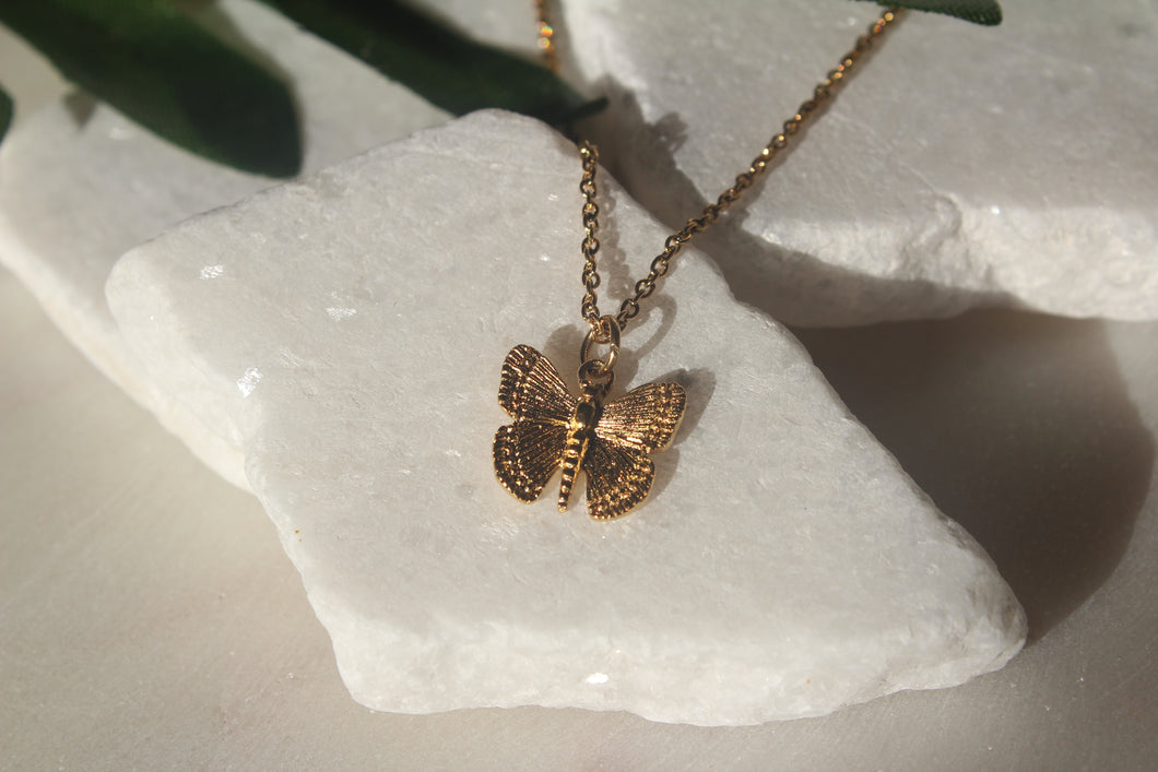 SULPHUR BUTTERFLY NECKLACE - GOLD FILLED